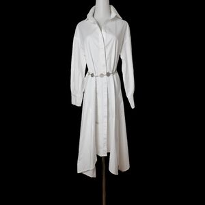 🦎 XXL,  loose white cotton long sleeve shirt dress by zzhen